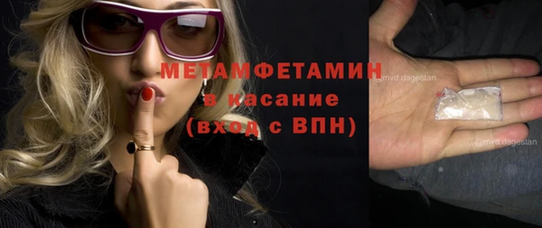 стаф Пересвет