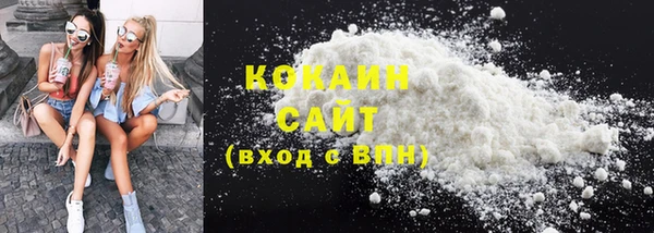 шишки Богданович