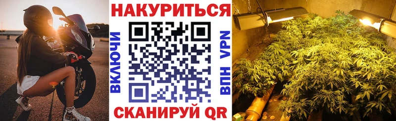 Бошки Шишки Bruce Banner  Острогожск 